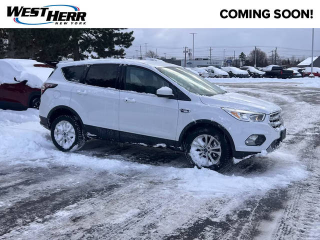 2019 Ford Escape SE 4WD photo