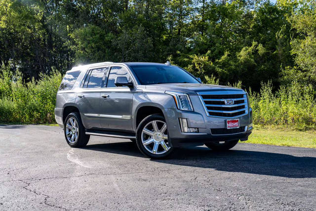 2019 Cadillac Escalade Luxury RWD photo