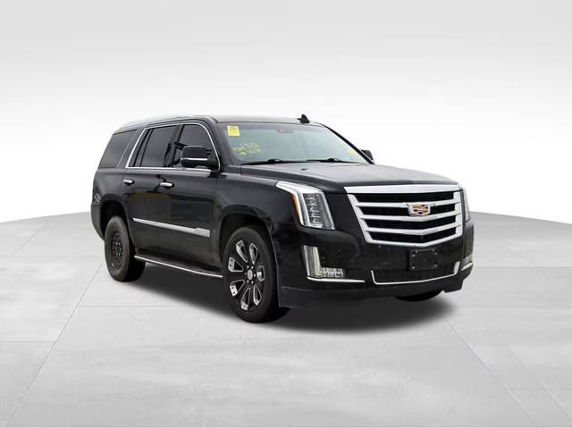 2019 Cadillac Escalade Luxury RWD photo