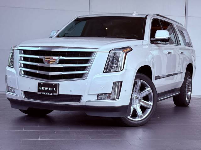 2018 Cadillac Escalade ESV Luxury RWD photo