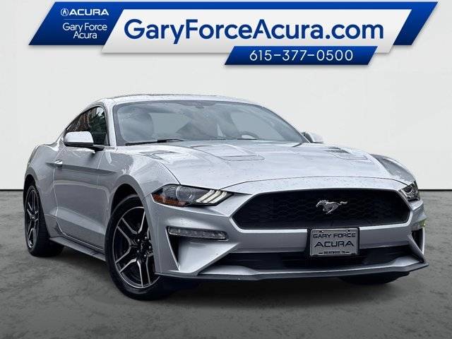 2019 Ford Mustang EcoBoost RWD photo