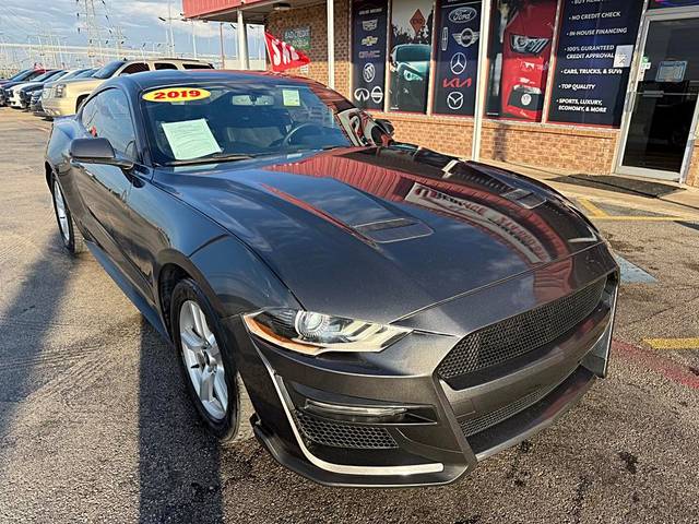 2019 Ford Mustang EcoBoost RWD photo