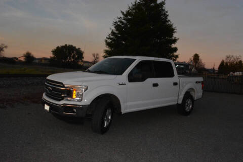 2019 Ford F-150 XLT 4WD photo