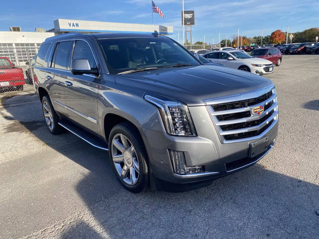 2019 Cadillac Escalade Luxury 4WD photo