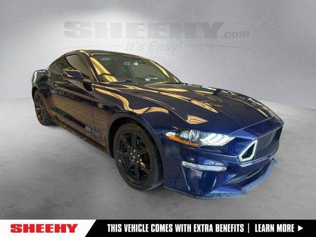 2019 Ford Mustang EcoBoost RWD photo