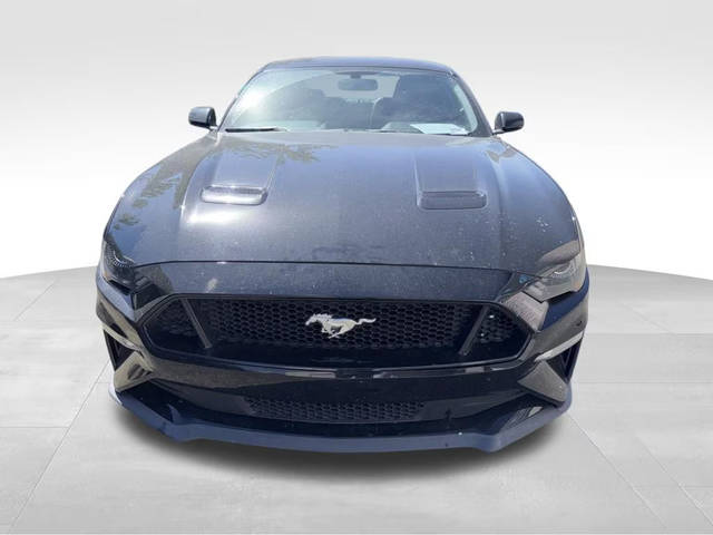 2019 Ford Mustang GT Premium RWD photo