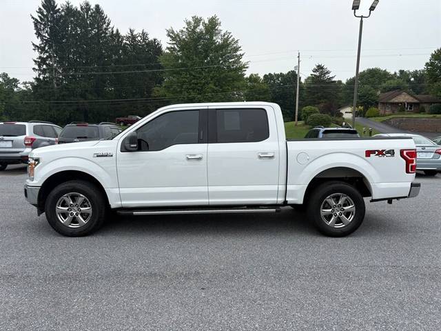 2019 Ford F-150 XLT 4WD photo