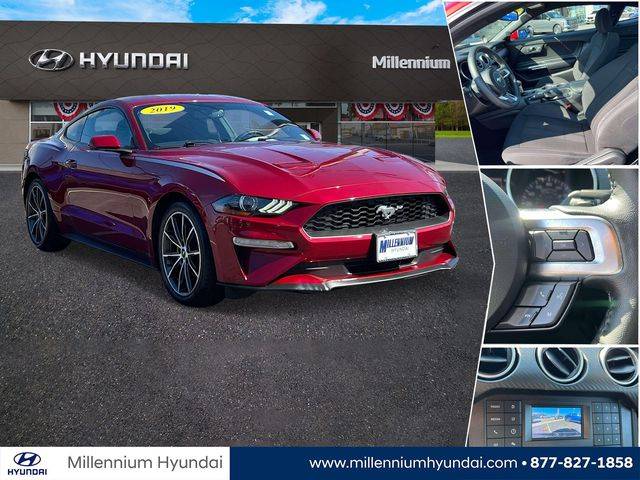 2019 Ford Mustang EcoBoost RWD photo