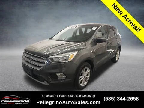 2019 Ford Escape SE 4WD photo