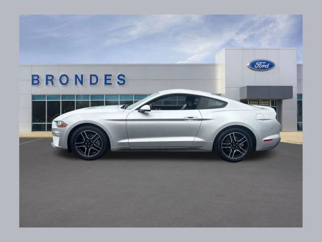 2019 Ford Mustang EcoBoost Premium RWD photo