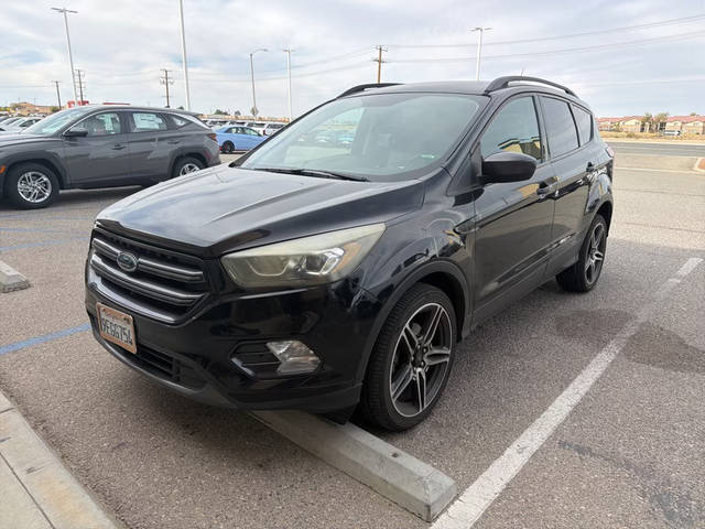 2019 Ford Escape SEL FWD photo
