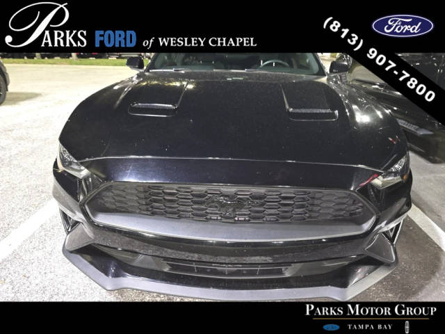 2019 Ford Mustang EcoBoost RWD photo