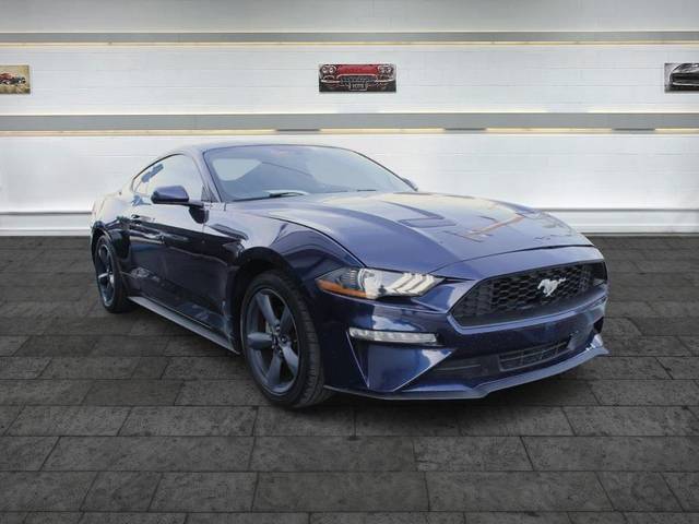 2019 Ford Mustang EcoBoost RWD photo