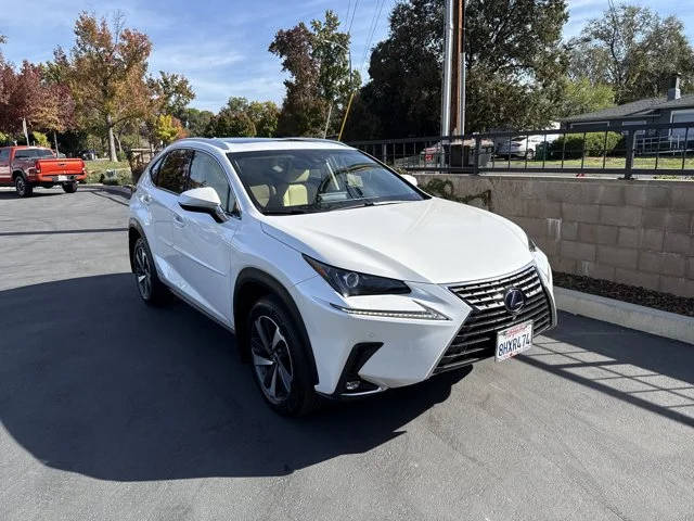 2019 Lexus NX NX 300h AWD photo