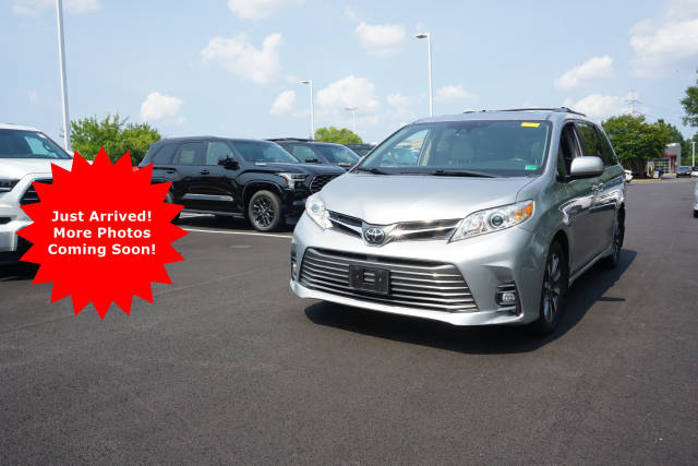 2019 Toyota Sienna XLE AWD photo