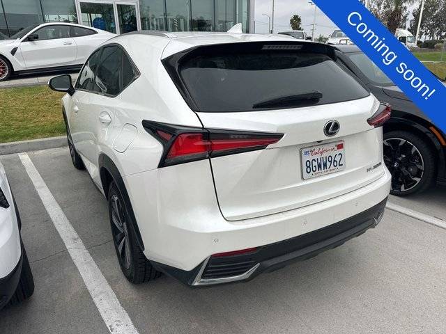 2019 Lexus NX NX 300h AWD photo