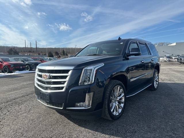 2019 Cadillac Escalade Luxury 4WD photo