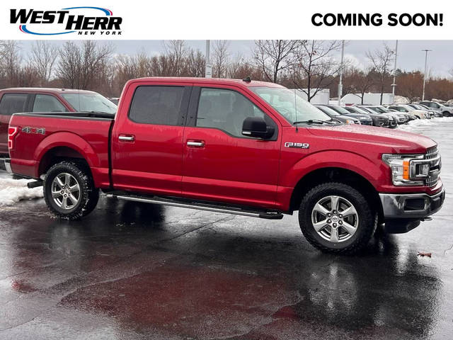 2019 Ford F-150 XLT 4WD photo