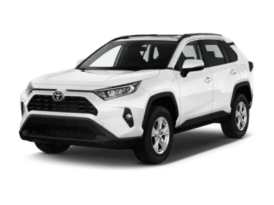 2019 Toyota RAV4 XLE AWD photo