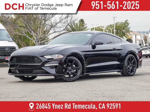 2019 Ford Mustang EcoBoost RWD photo