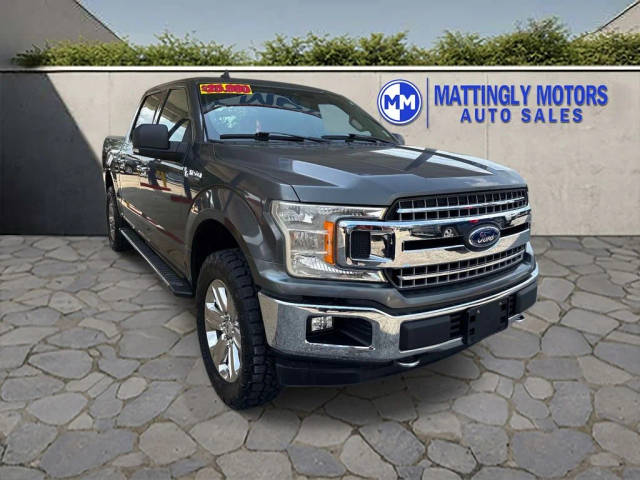 2019 Ford F-150 XLT 4WD photo