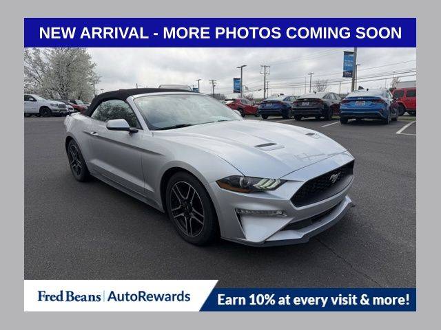 2019 Ford Mustang EcoBoost Premium RWD photo