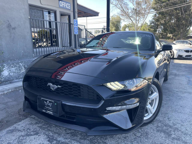2019 Ford Mustang EcoBoost RWD photo