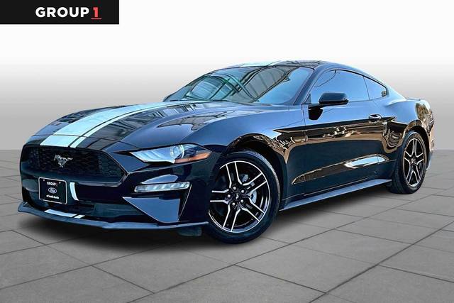 2019 Ford Mustang EcoBoost RWD photo