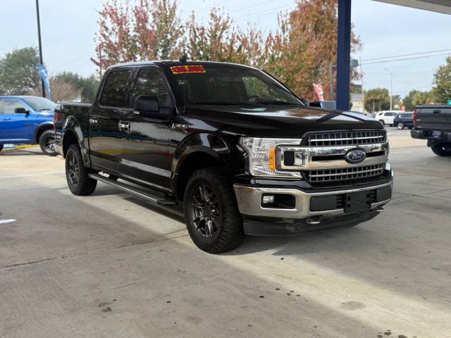 2019 Ford F-150 XLT 4WD photo