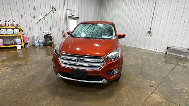 2019 Ford Escape SE 4WD photo