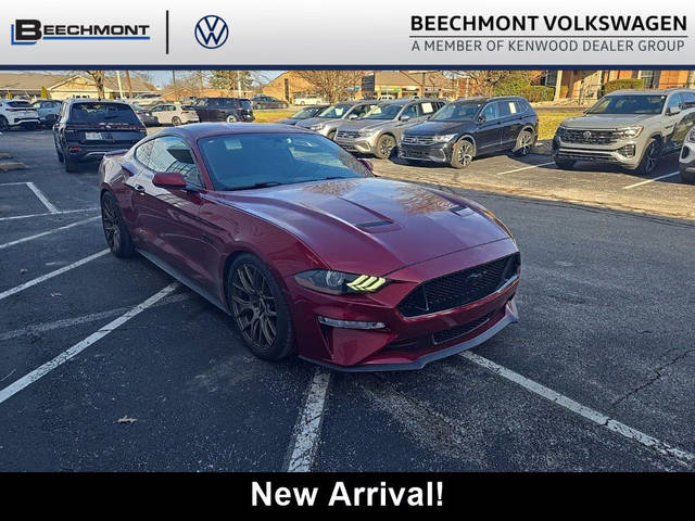 2019 Ford Mustang GT RWD photo