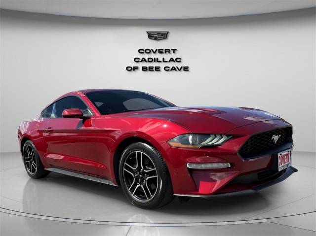 2019 Ford Mustang EcoBoost RWD photo