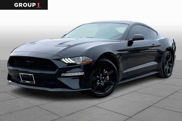 2019 Ford Mustang EcoBoost RWD photo
