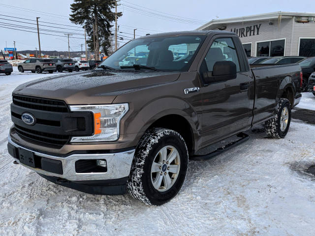 2019 Ford F-150 XL 4WD photo