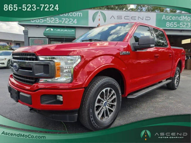 2019 Ford F-150 XLT 4WD photo