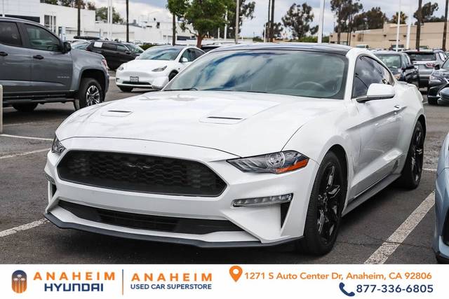 2019 Ford Mustang EcoBoost RWD photo