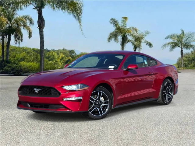 2019 Ford Mustang EcoBoost RWD photo