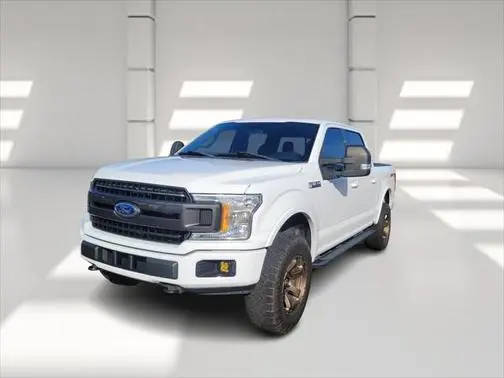 2019 Ford F-150 XLT 4WD photo