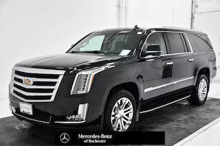 2019 Cadillac Escalade ESV  4WD photo