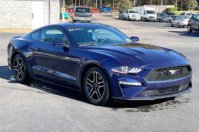 2019 Ford Mustang EcoBoost RWD photo