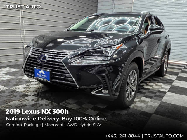2019 Lexus NX NX 300h AWD photo