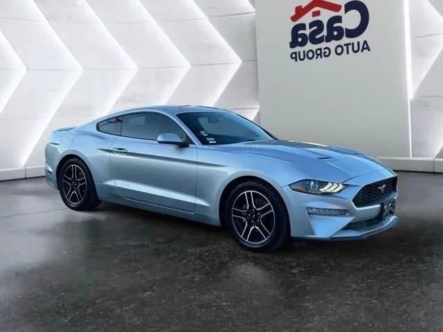 2019 Ford Mustang EcoBoost RWD photo