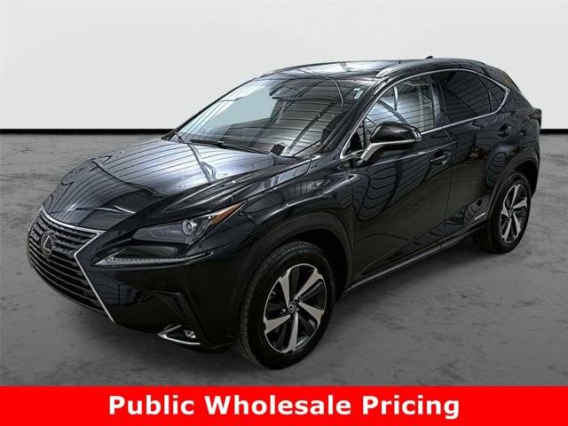 2019 Lexus NX NX 300h AWD photo