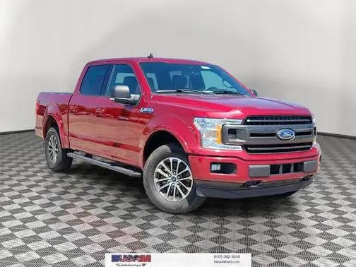 2019 Ford F-150 XLT 4WD photo