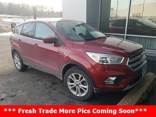 2019 Ford Escape SE FWD photo