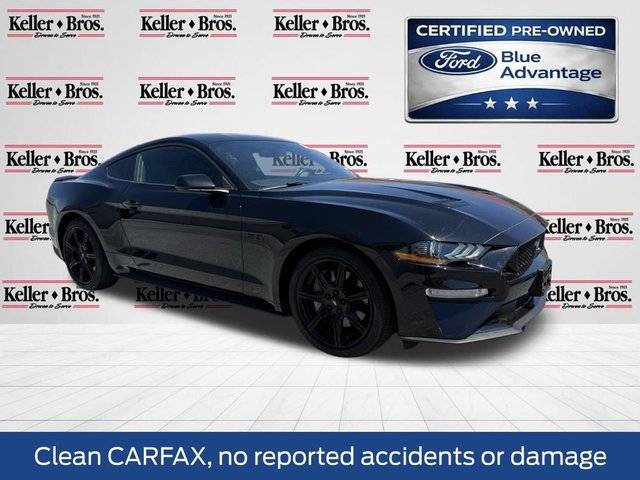 2019 Ford Mustang GT RWD photo