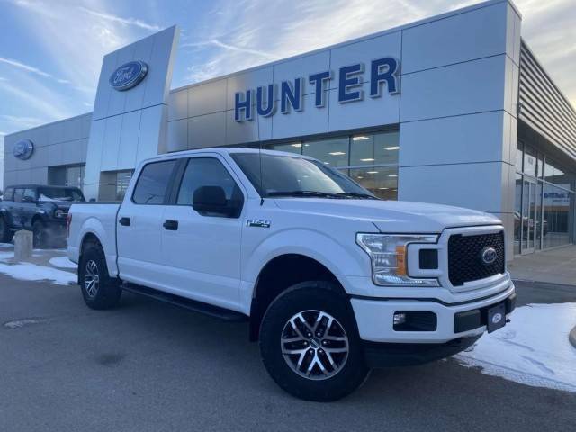 2019 Ford F-150 XL 4WD photo