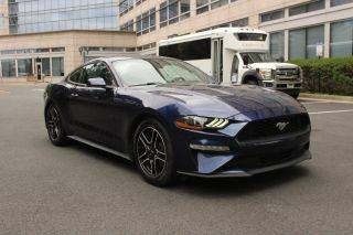 2019 Ford Mustang EcoBoost RWD photo