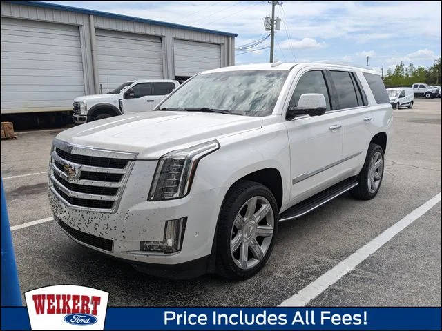 2019 Cadillac Escalade Luxury 4WD photo