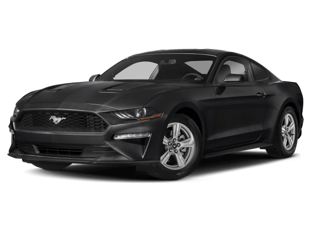 2019 Ford Mustang EcoBoost RWD photo